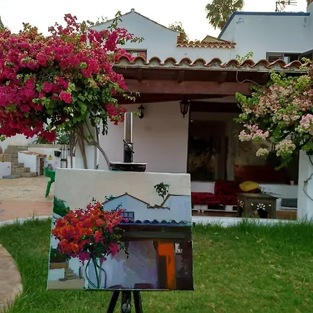 La Tortuga Hostel-2